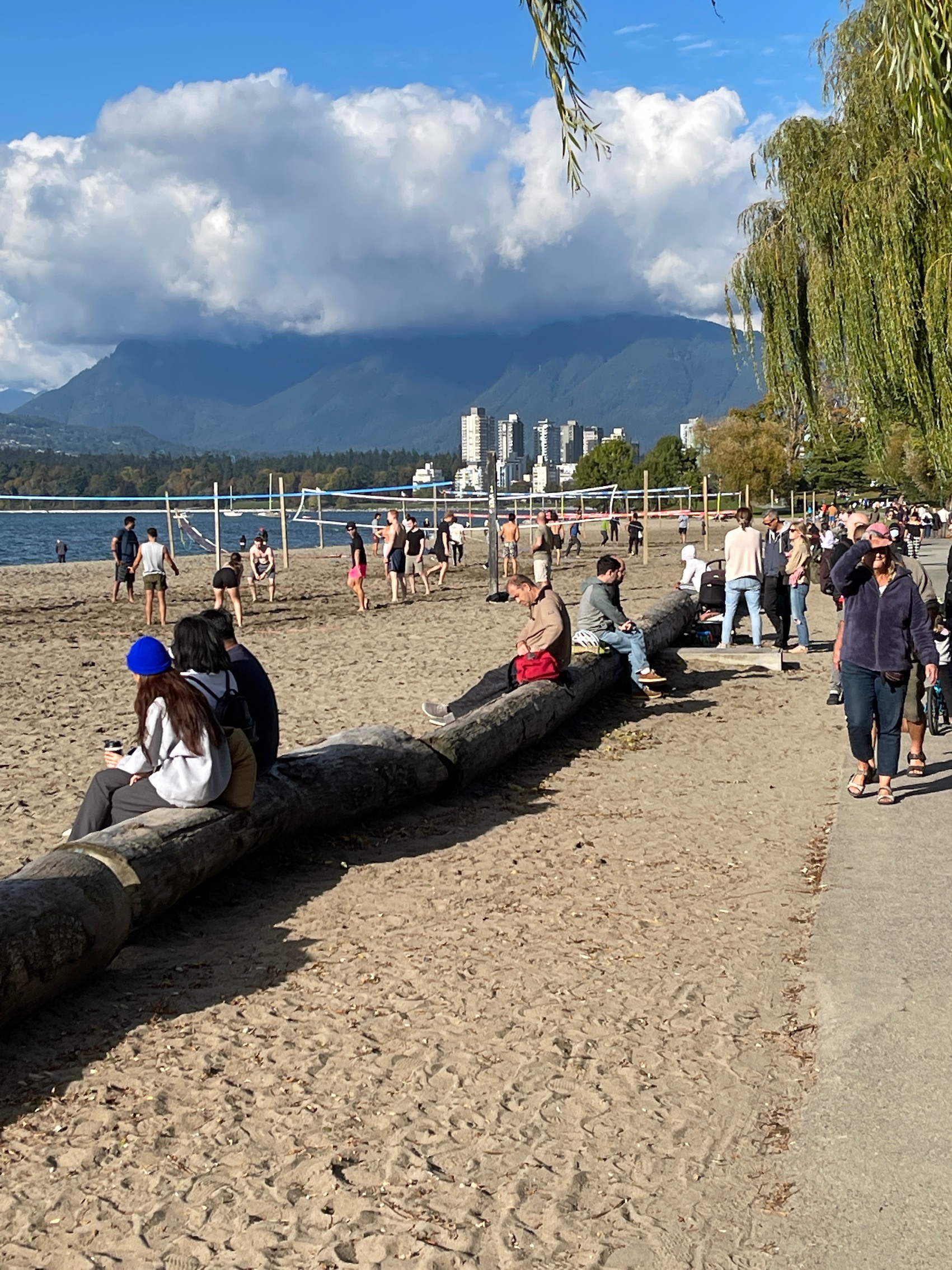 Kitsilano Houses For Sale 🏠 Welovekits, Regan Pyke Welovekits, Regan Pyke