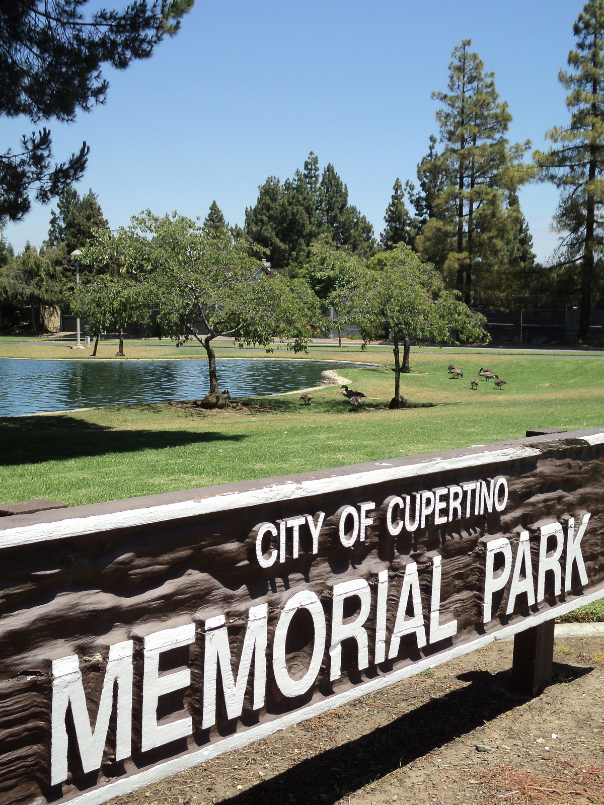 Cupertino ‹ Sharmin Lopes Intero Real Estate Services