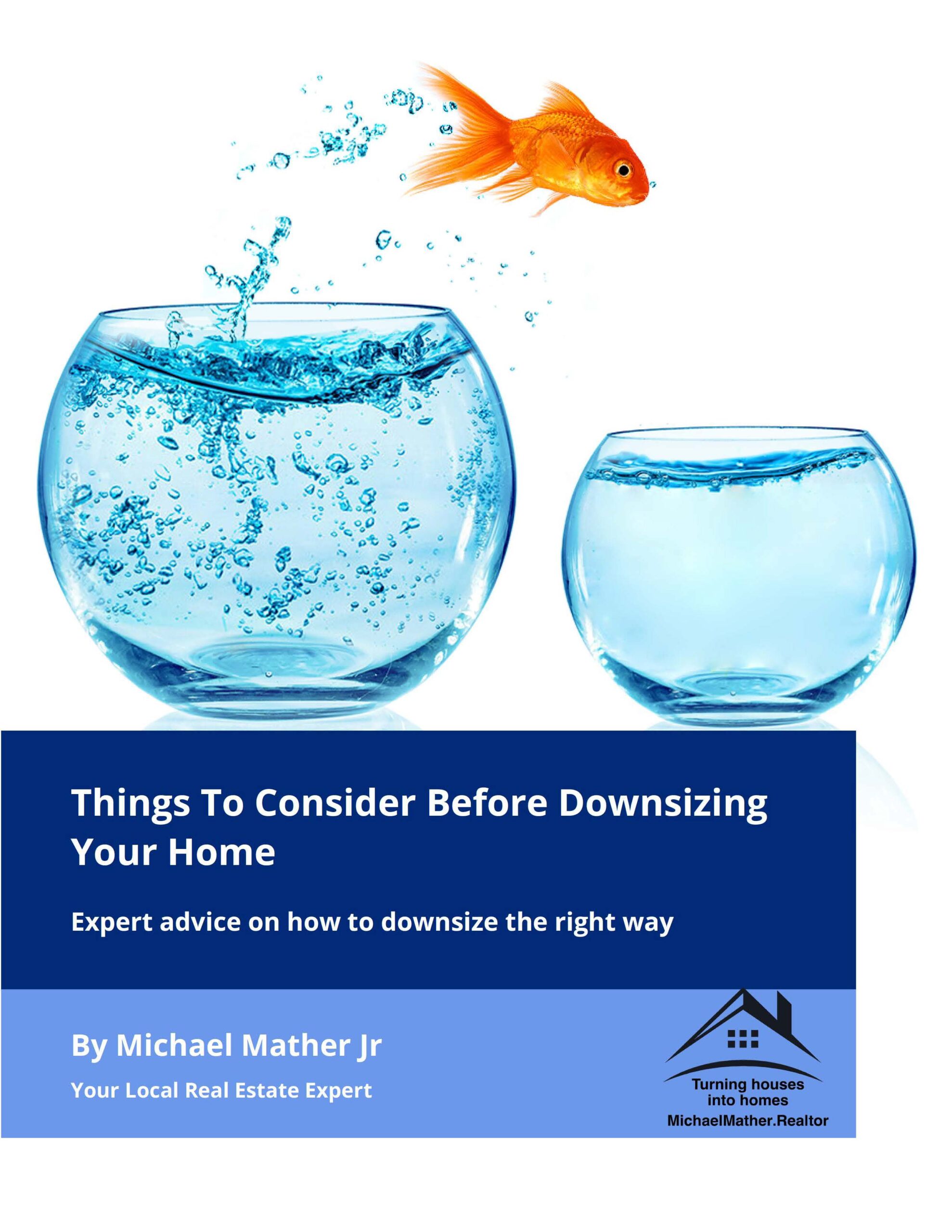 Downsizing Guide Cover