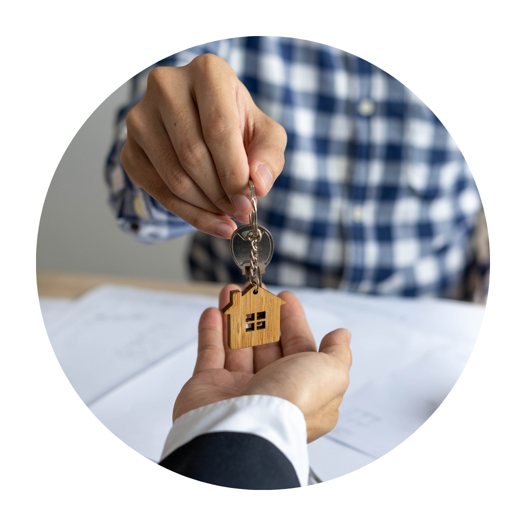 Real Estate Home Search