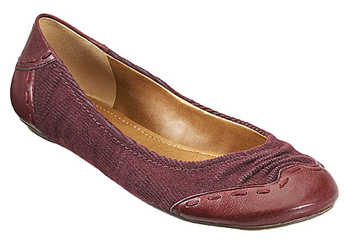 pgnwcambricwinwifbpe