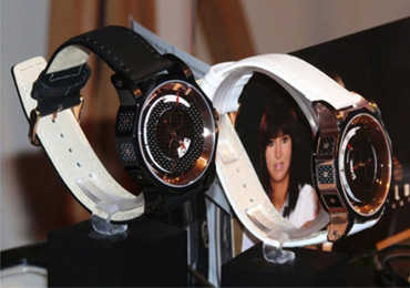 Schloss Herdringen 2009-54Ausschnitt