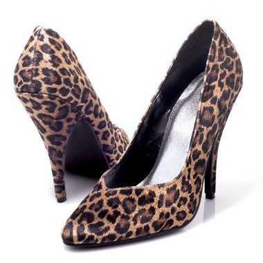 zapato-safari zapato-safari