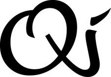 Ql LLC Logo