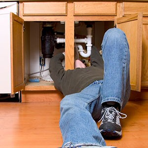 Phoenix Plumbers Logo