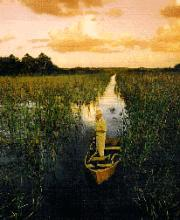 Stephanie Neal Photography Logo