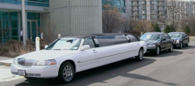 In Style Limousines Logo