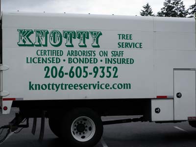 Knotty Tree Service Logo