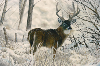 Iowa School of Taxidermy-Private school and studio Logo