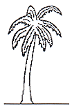 PALMTREE Funding Logo