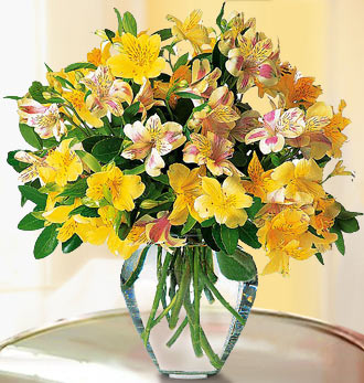 Send Flowers with Florist Delivery Logo