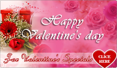 Sending Flowers Fast Logo