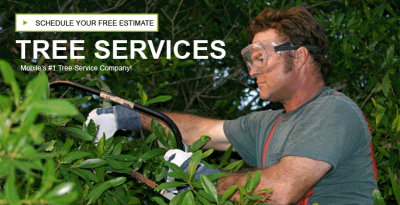 Premiere Tree Services of Mobile Logo