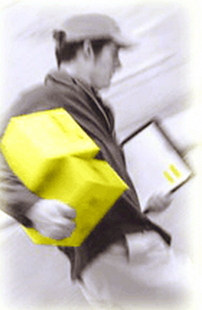 Transnet Delivery Solutions Image