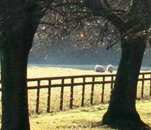 North American Movers - Irvine Moving Company Logo