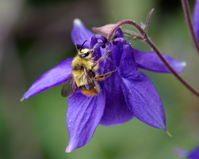 Doug Clark Photography Logo