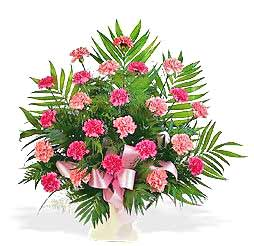 Cleveland Flowers Logo