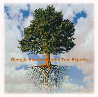 Georgia Environmental Tree Experts Logo