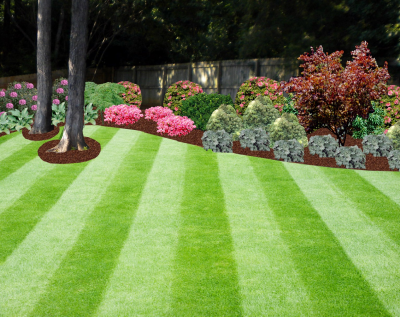 Prolifiscapes, Inc. Image