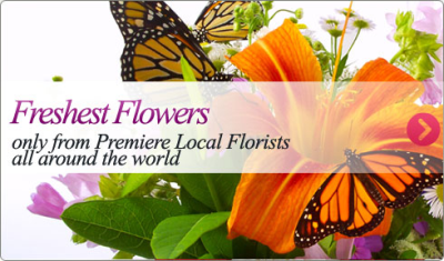 Buffalo Flower Delivery Logo
