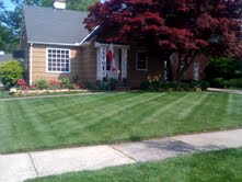 Streamline Designs Image