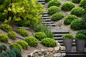 Mario's Landscaping Image