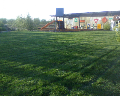 Apple tree LawnCare Logo