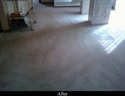 J.R.'s Dry Foam Carpet Cleaning Image