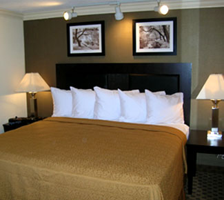 Wilmington Quality Inn & Suites Image