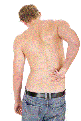 Chiropractor Washington Logo