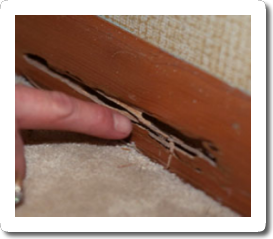 Prevention Pest Control Inc. Image