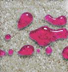 Premier Carpet Cleaning Image