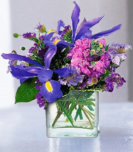 San Jose Flowers Logo