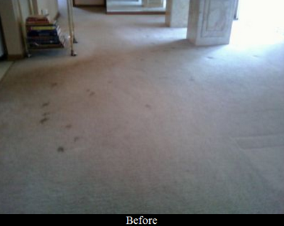 J.R.'s Dry Foam Carpet Cleaning Image