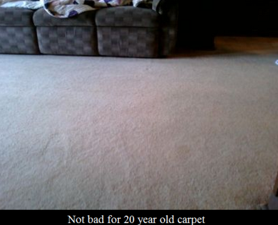 J.R.'s Dry Foam Carpet Cleaning Image