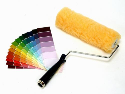 DS PRO PAINTING ~ Lic # 914356 Logo