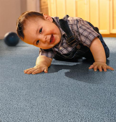 Phoenix Carpet Cleaning Pros Logo
