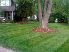 Streamline Designs Image