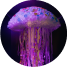 ÁGUA VIVA