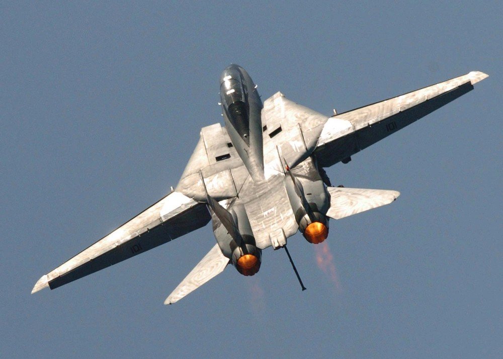 Emily’s Thoughts on the F-14 Tomcat: Iconic, Powerful, but Not Perfect