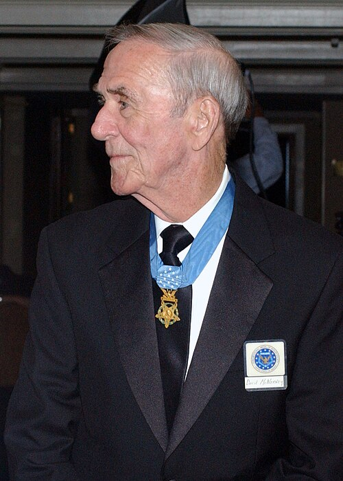 Medal of Honor: David H. McNerney – U.S. Army – Vietnam War