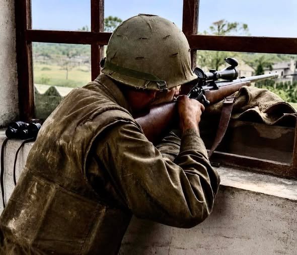 The Silent Watch: A Marine Sniper During the Battle of Hue