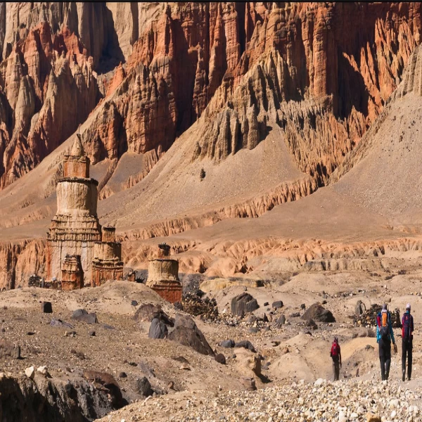 Mustang Trek