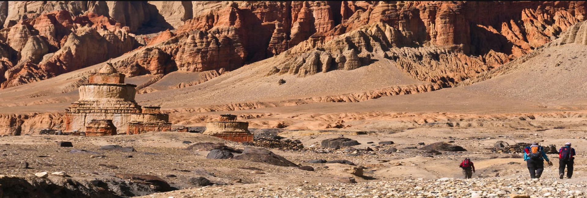 Mustang Trek
