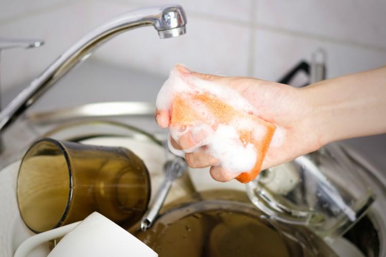 How to Kill All the Bacteria On Your Sponge