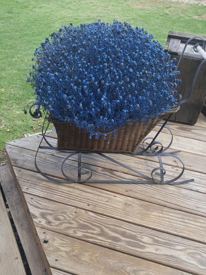 New Trend Has People Spray Painting Dead Plants To Bring Them Back To