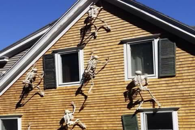 Skeletons Climbing House
 15 of the Most Creative Halloween Skeletons to Freak Out Your Neighbors