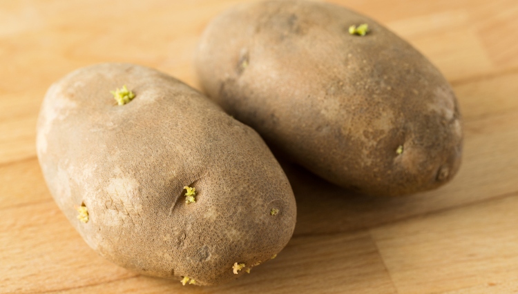 Experts Weigh In About Whether or Not It’s Safe to Eat Potatoes With