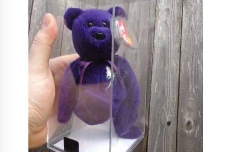 ebay princess bear