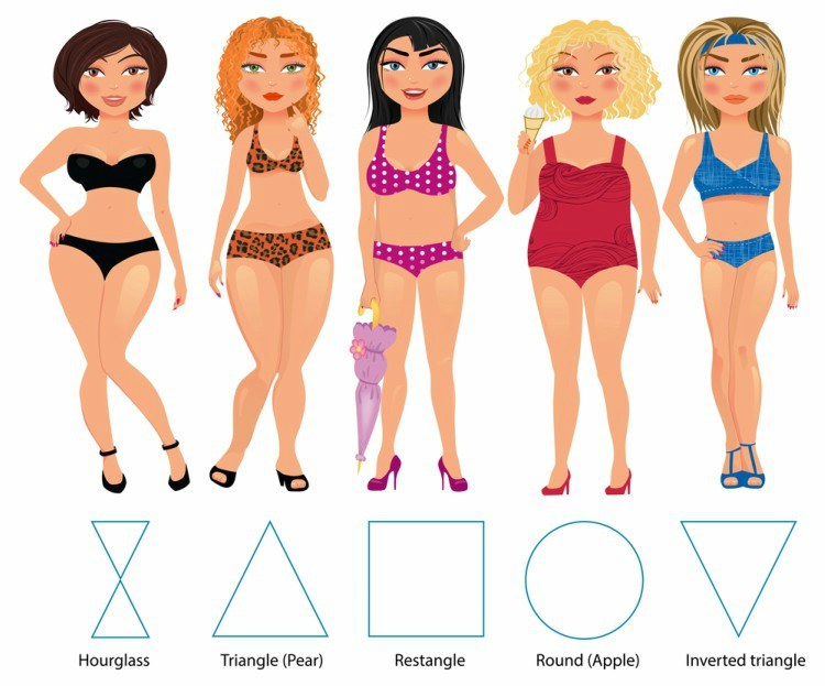 animation of different body shapes